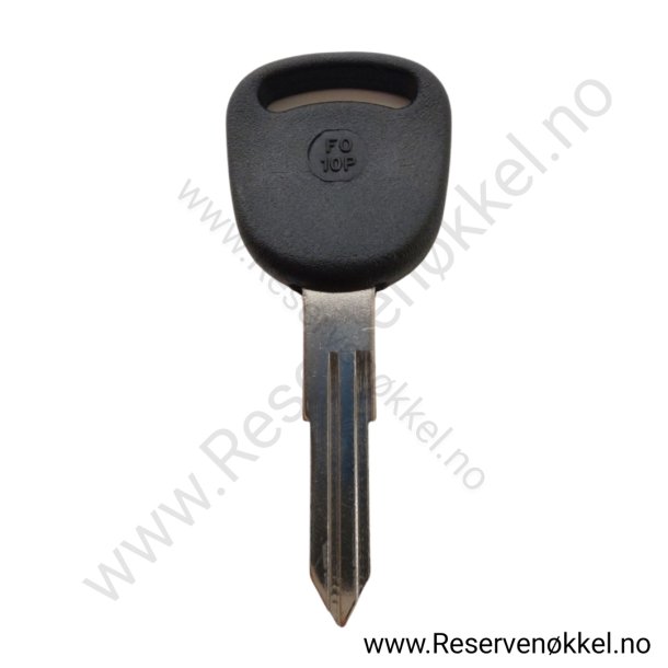 FO-10.P Nkkelemne